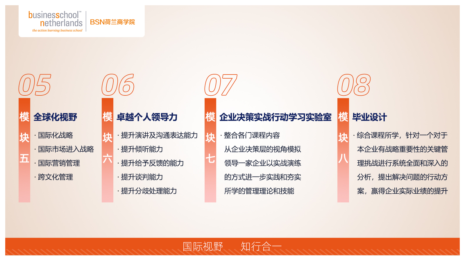 BSN荷蘭商學院MBA（線上）